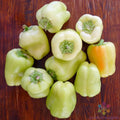 White Bell Sweet Pepper Seeds – Capsicum annuum – Non-GMO, Garden Planting, 25+ Seeds, Full Sun, Easy to Grow