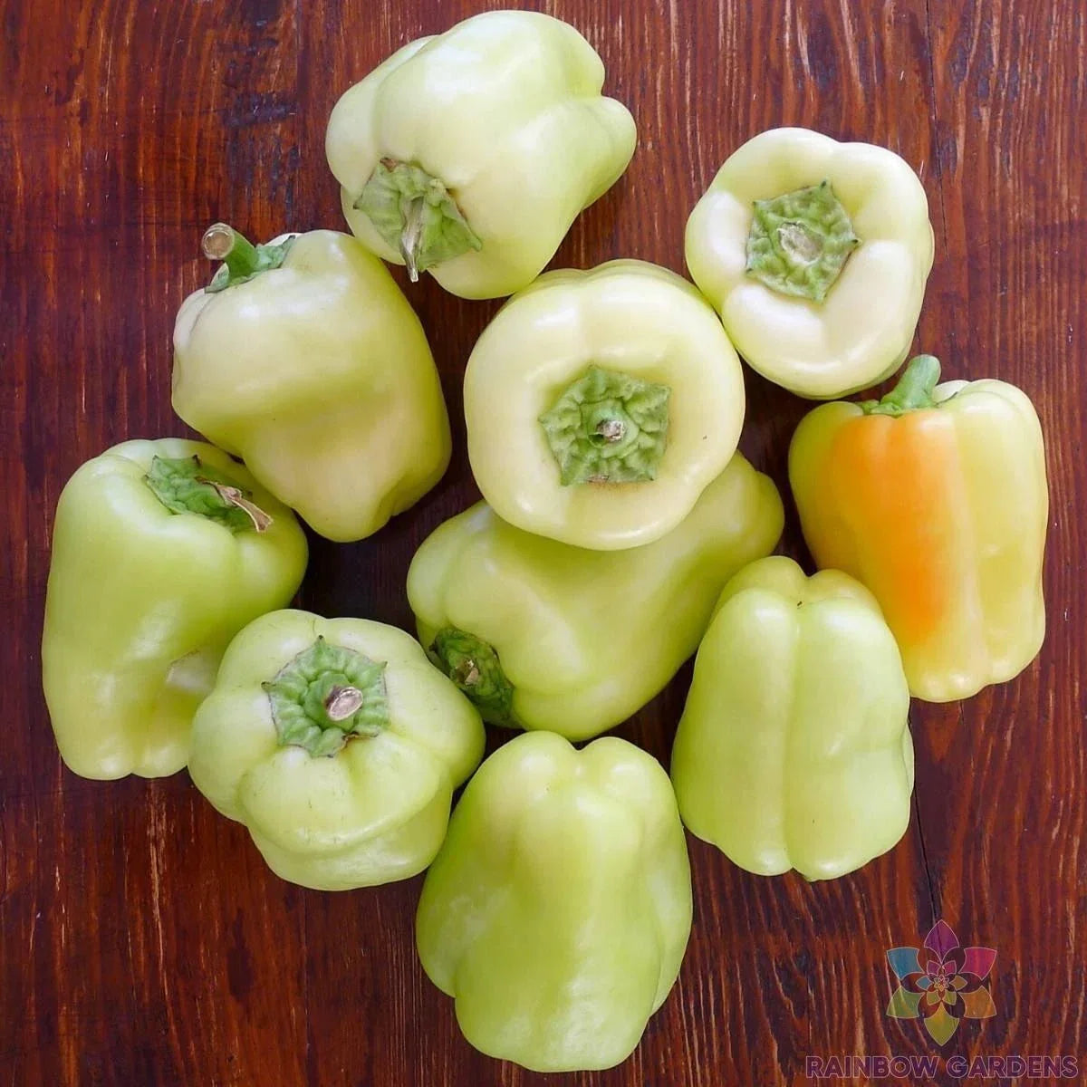 White Bell Sweet Pepper Seeds – Capsicum annuum – Non-GMO, Garden Planting, 25+ Seeds, Full Sun, Easy to Grow