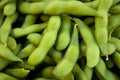 Be-Sweet 292 Edible Soybean Seeds - Organic Glycine max Non-GMO Fresh Seeds for Home Garden & Cooking