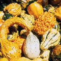 Gourd Seed Mix - 20+ Non-GMO Heirloom Seeds for Decorative & Edible Gourds - Cucurbita pepo Pack