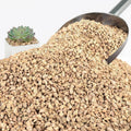 3Lb Maifanitum Stones - Golden Pea Gravel 1/8"-1/4" for Succulents & Cacti