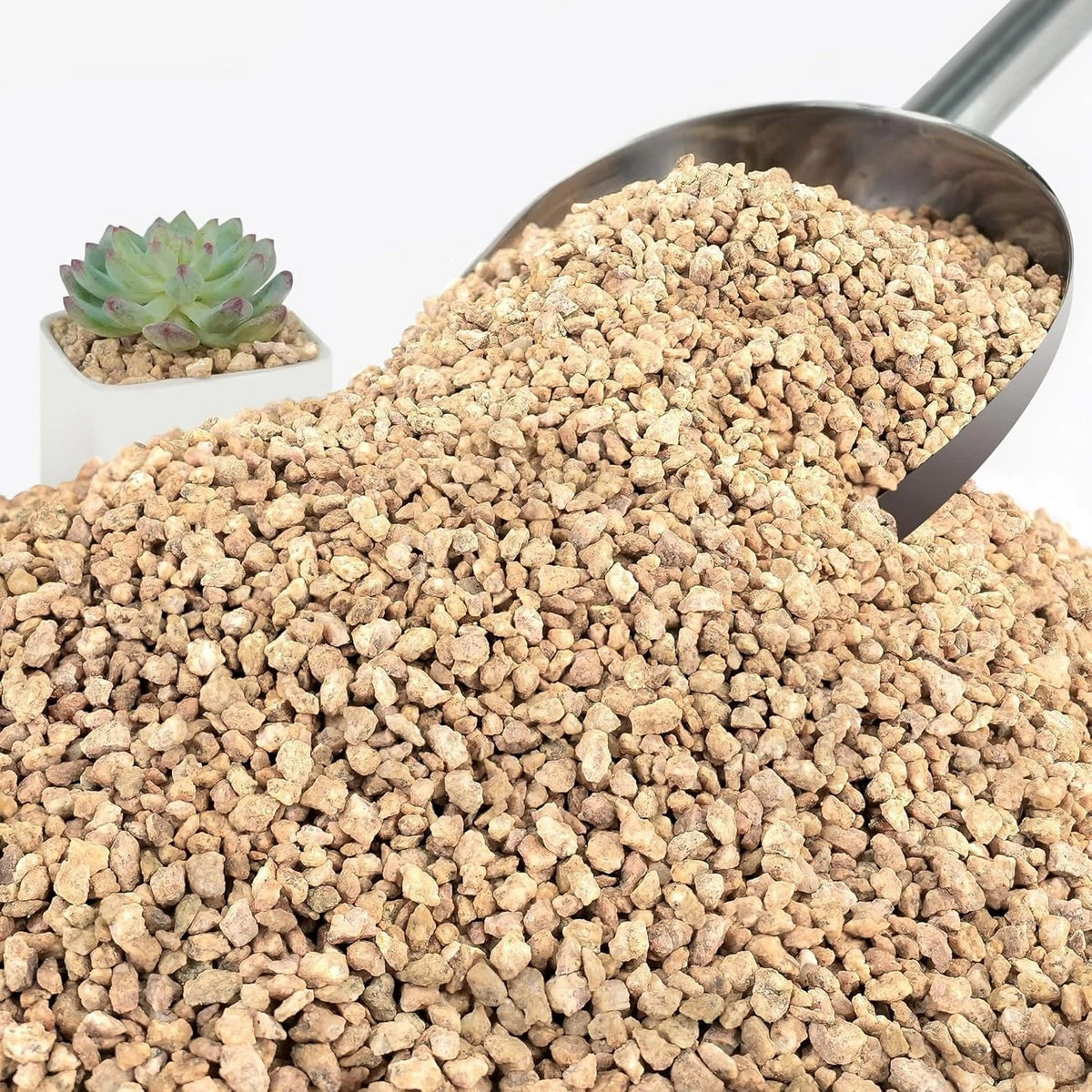 3Lb Maifanitum Stones - Golden Pea Gravel 1/8"-1/4" for Succulents & Cacti