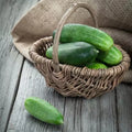Non-GMO Spacemaster Cucumber Seeds, Compact Growth, Cucumis sativus, 60 Pack for Organic Vegetable Garden