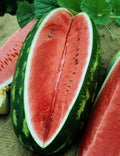 Congo Watermelon Seeds – Organic Citrullus lanatus – 40 Non-GMO, Home Garden, Juicy Melons, Free USA Shipping