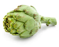 Exotic Globe Artichoke Seeds - 100+ Cynara scolymus Edible Vegetable for Garden or Pots