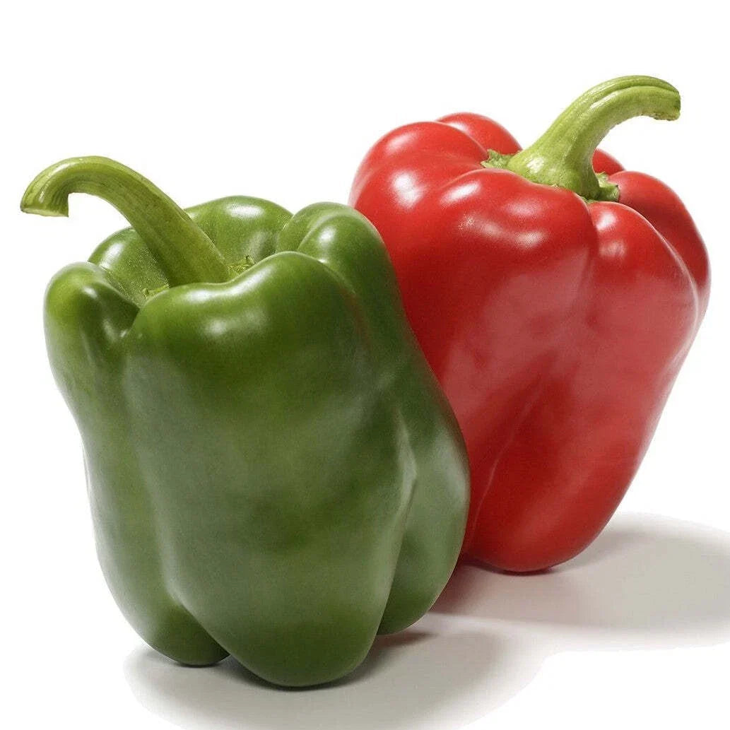 California Wonder Bell Pepper Seeds - Heirloom Non-GMO Capsicum annuum, 300 Seeds, Sweet Bell Peppers for Garden, Full Sun, Easy to Grow