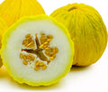Golden Beauty Casaba Melon Seeds - Non-GMO Heirloom Cucumis melo Seeds for Home Garden, Container Growing, Juicy Summer Melons