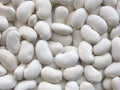 Organic Kidney Bean Seeds - California White Variety - Phaseolus vulgaris - Bush Type, Full Sun, Pack of 100 Seeds