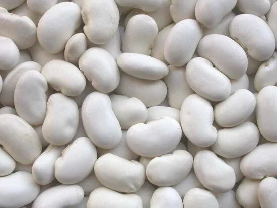 Organic Kidney Bean Seeds - California White Variety - Phaseolus vulgaris - Bush Type, Full Sun, Pack of 100 Seeds