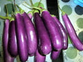 Long Purple Eggplant Seeds - Heirloom Organic Non-GMO Solanum melongena - Pack of 100+ Seeds for Vegetable Garden