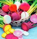 Rainbow Blend Beet Seeds - Non-GMO Assorted Colors, Beta vulgaris, 100+ Seeds for Garden, Salad, and Cooking