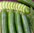 Cucumber Seeds 300 Count | Straight Eight Heirloom Vegetable | Cucumis sativus | Garden, Salad, Pickling