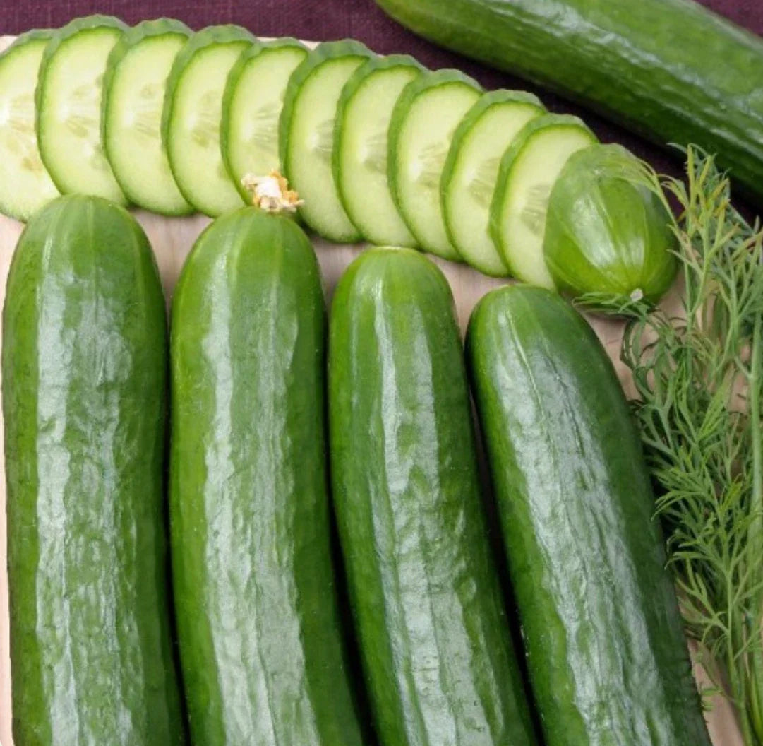 Cucumber Seeds 300 Count | Straight Eight Heirloom Vegetable | Cucumis sativus | Garden, Salad, Pickling