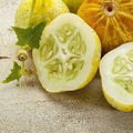Lemon Cucumber Seeds - Heirloom Non-GMO Cucumis sativus for Home Garden, Container Growing, High Yield