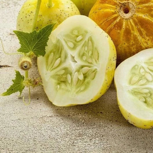 Lemon Cucumber Seeds - Heirloom Non-GMO Cucumis sativus for Home Garden, Container Growing, High Yield
