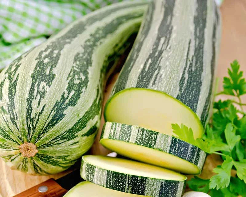 Cocozelle Squash Seeds - 25+ Pack, Heirloom Cucurbita pepo, Vining, Full Sun, Garden & Container Planting