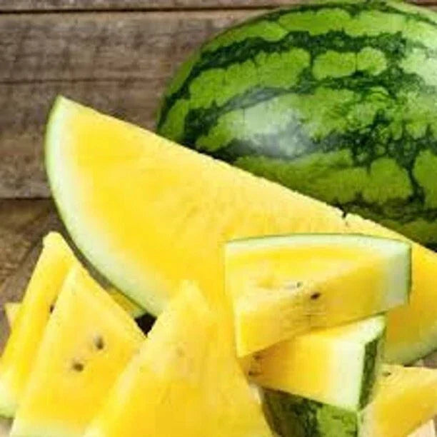 Organic Yellow Watermelon Seeds - 25 Heirloom Citrullus lanatus for Home Garden Planting