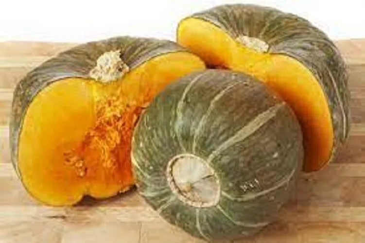 Premium Buttercup Winter Squash Seeds - Heirloom Cucurbita maxima, 20 Pack, Sweet Flavor, Excellent Storage, Vining, Organic