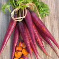 Cosmic Purple Carrot Seeds – Heirloom Non-GMO Organic Vegetable Seeds Daucus carota, 100 Pack