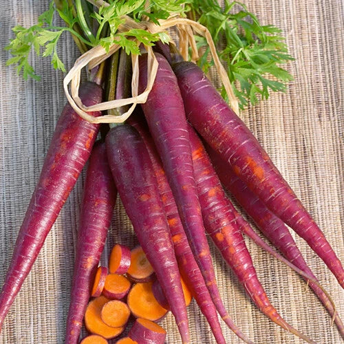 Cosmic Purple Carrot Seeds – Heirloom Non-GMO Organic Vegetable Seeds Daucus carota, 100 Pack