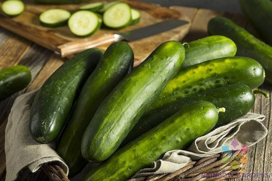 25+ Sweeter Yet Cucumber Seeds – Heirloom Cucumis sativus for Garden, Container & Raised Bed Planting