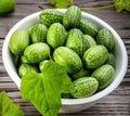 Cucamelon Seeds 15+ Non-GMO Melothria Scabra Mexican Sour Gherkin Vining Plant