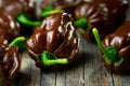 Chocolate Habanero Seeds - 40 Pack - Spicy Pepper Variety - Capsicum chinense - Free US Shipping