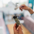220 Smudging Sage Seeds – Big Mountain White Sagebrush Artemisia Tridentata Vaseyana, Perennial for Spiritual Cleansing and Herbal Gardens
