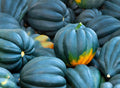 Acorn Squash Seeds - 50+ Seeds - King Table Variety - Cucurbita pepo - Delicious Flavor for Garden Planting