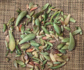 Succulent Leaves for Propagation - 3/4 lb Assortment with 30+ Varieties & 5 Rare Types - Indoor Gardening, DIY Plant Propagation