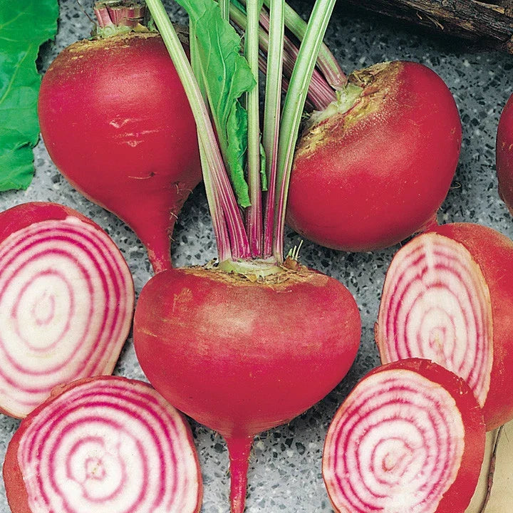 Chioggia Beet Seeds - NON-GMO Candy Stripe Beta vulgaris for Garden, Salad, and Cooking