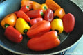 Mini Sweet Pepper Seeds, Non-GMO, Sweet Apple Variety, Capsicum annuum, Perfect for Home Gardening & Container Growing
