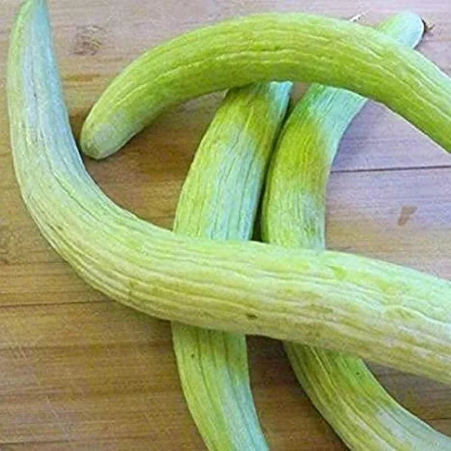 Serpent Armenian Cucumber Seeds - Organic Heirloom Cucumis melo var. flexuosus, 20 Pack, Vining, Non-GMO, Garden Supplies