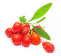 Goji Berry Seeds - 100+ Premium Lycium barbarum Fruit Plant for Growing Superfood