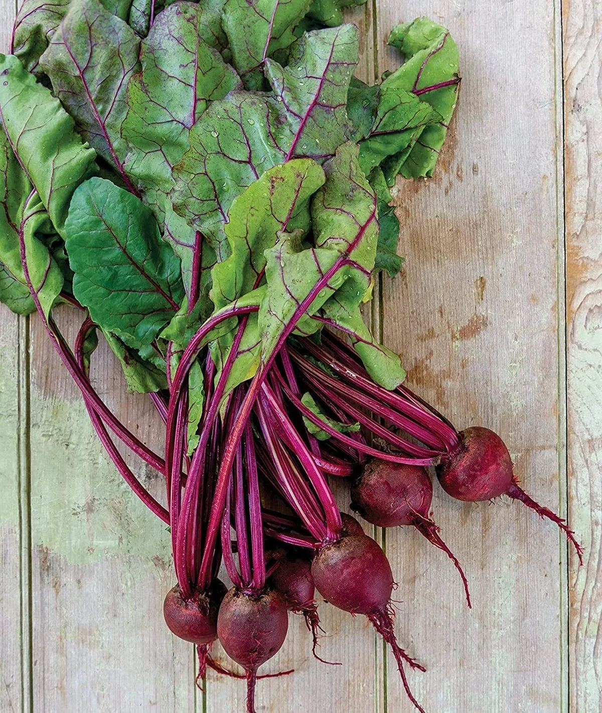 Detroit Dark Red Beet Seeds - Medium Top Variety, Beta vulgaris, Non-GMO, Heirloom, Made in USA, Ships from Iowa