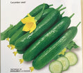 Chinese Fruit Cucumber Seeds - Burpless Hybrid Mini Cucumbers for Salad & Snacking, Cucumis sativus, 15+ Seeds