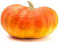 Cinderella Pumpkin Seeds - Heirloom Cucurbita pepo, 20 Pack, Flat Orange Fall Garden Planting Seeds