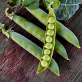 Green Arrow English Pea Seeds – Non-GMO, Pod Variety, Pisum sativum, 30 Seeds for Garden Vegetables