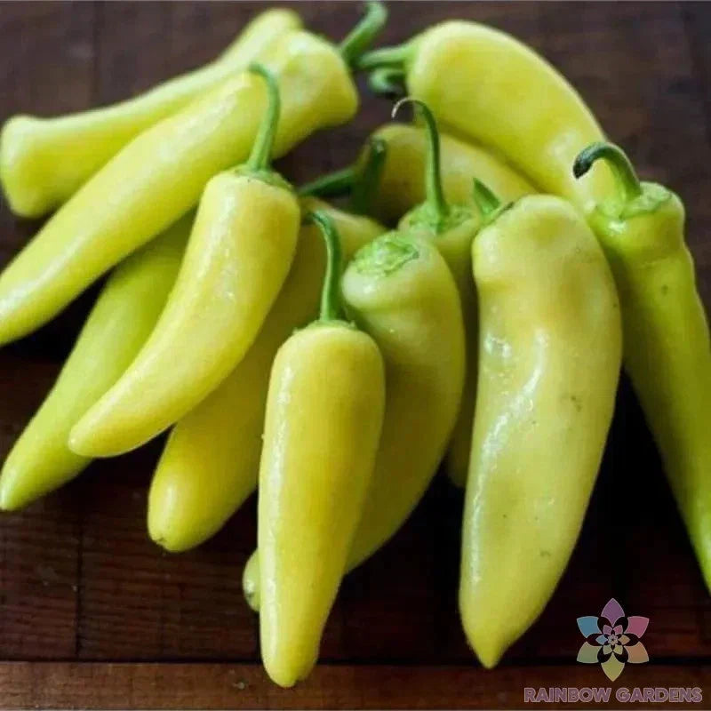Hungarian Yellow Hot Wax Pepper Seeds – 25+ Pack, Capsicum annuum, Spicy Hot Pepper for Gardening, USA Grown, Free Shipping