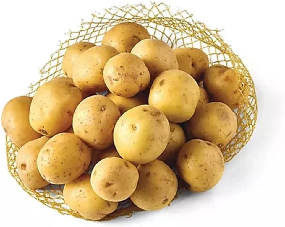 Mini Seed Potatoes - Vista Gold Yellow Skin Variety for Planting - Solanum tuberosum