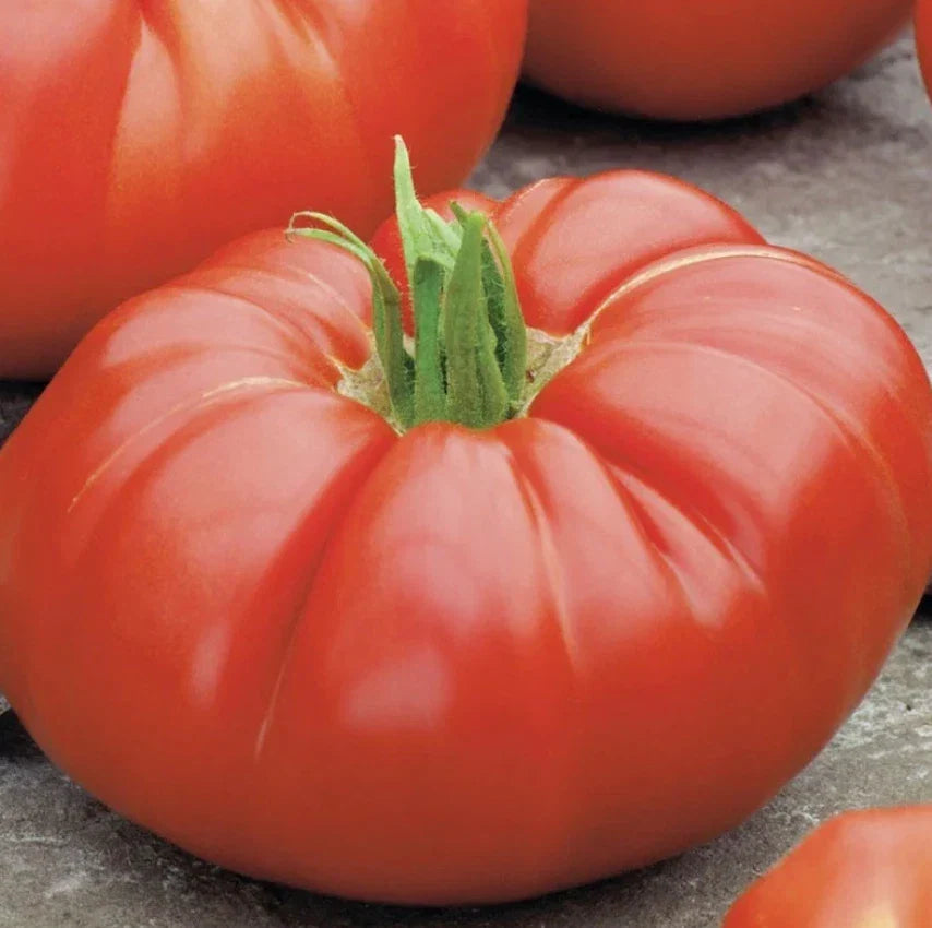 Heirloom Beefsteak Tomato Seeds - Determinate Bush Variety - Non-GMO - 100 Count for Slicing and Salad Gardens