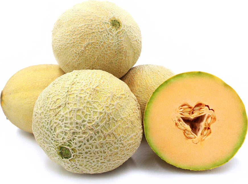Goddess Cantaloupe Seeds - Non-GMO, Sweet Cucumis melo Melon Seeds for Planting, Vining, Sprawling Growth, 20 Seeds Packet