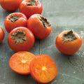 American Persimmon Seeds - 10 Pack Diospyros virginiana Edible Fruit Tree Seeds for Wildlife & Garden