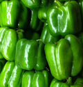 Green Bell Pepper Seeds 50+ Keystone Resistant Giant Capsicum annuum for Home Garden, Sweet, Non-GMO