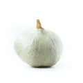 Blue Ballet Squash Seeds - Pack of 25+ Heirloom Cucurbita pepo Vegetable Seeds for Garden Planting