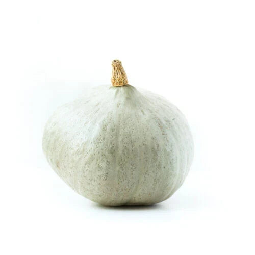 Blue Ballet Squash Seeds - Pack of 25+ Heirloom Cucurbita pepo Vegetable Seeds for Garden Planting