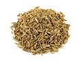 Cumin Herb Seeds - 500+ Fresh Cuminum cyminum Seeds for Culinary Garden, Spices & Herb Growing