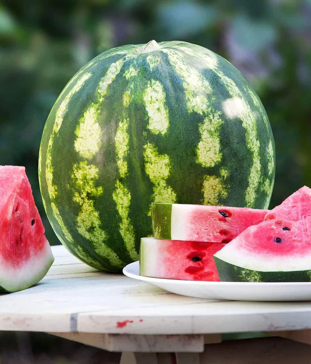 Crimson Watermelon Seeds - Heirloom Citrullus lanatus - 30+ Seeds for Home Garden, Juicy, Sweet Fruit, Grown in USA