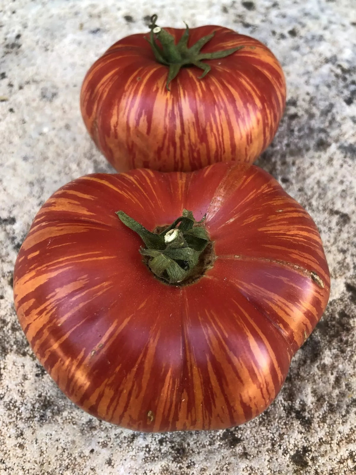 Vintage Wine Tomato Seeds - Heirloom, NON-GMO, Potato Leaf Variety, Deep Red Fruits, Solanum lycopersicum