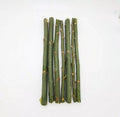 Austree Hybrid Willow Tree Cuttings - 20 Fast Growing Salix x sepulcralis for Privacy Screens & Landscaping